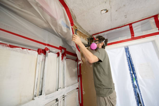  Bell Acres, PA Mold Removal Pros