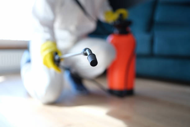 Best Mold Odor Removal Services  in Bell Acres, PA